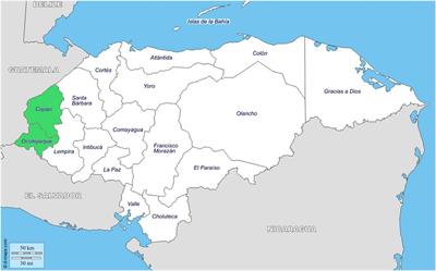 Gender Empowerment in Agriculture Interventions: What Are We Still Missing? Evidence From a Randomized-Controlled Trial Among Coffee Producers in Honduras